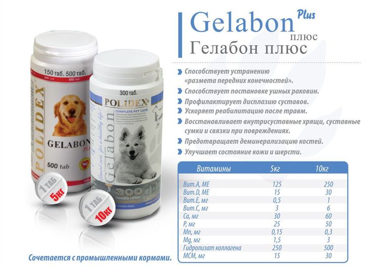 Zusammensetzung von Gelabon plus für Hunde