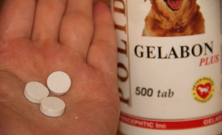Gelabon Plus für Hunde