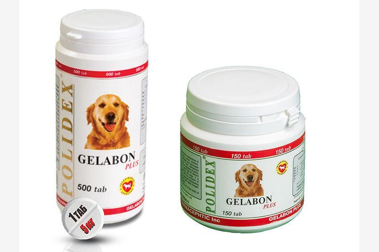 Gelabon Plus für Hunde