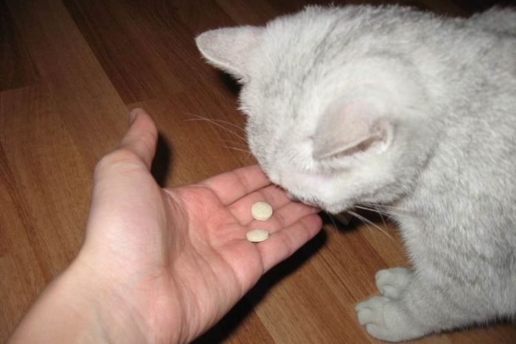 Vitaminas para el pelaje