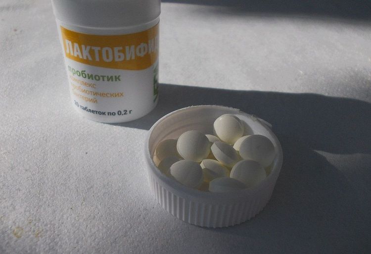 Lactobifid para perros