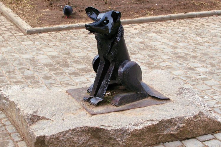 Monumento a «la perra vagabunda Gavriusha» (San Petersburgo)