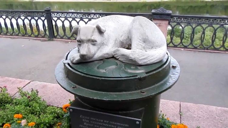 Monumento al perro callejero (Kémerovo)