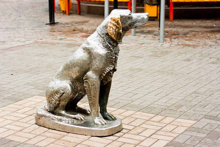 Monumento al Blanco Bim (Vorónezh)