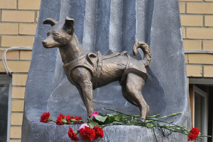 Monumento a Laika (Moscú)