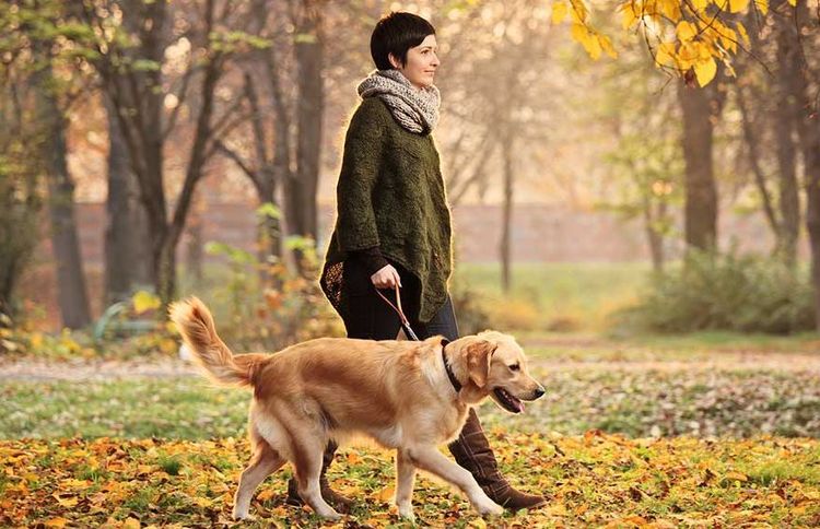 Mujer pasea a un retriever