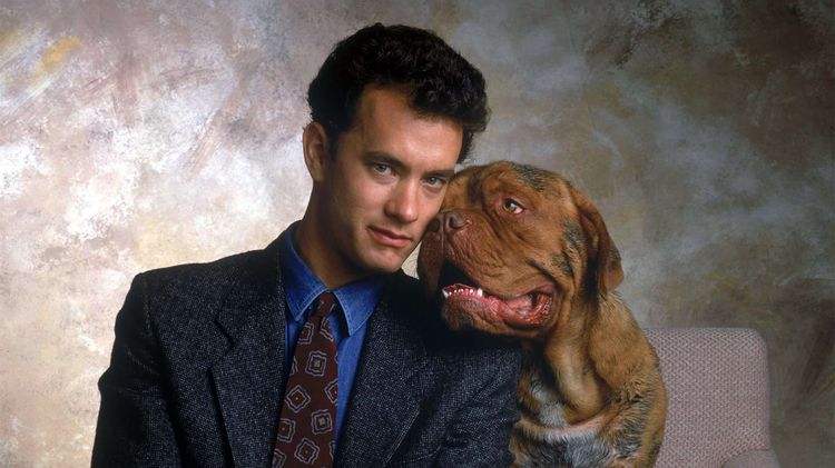 Fotograma de la película Turner y Hooch