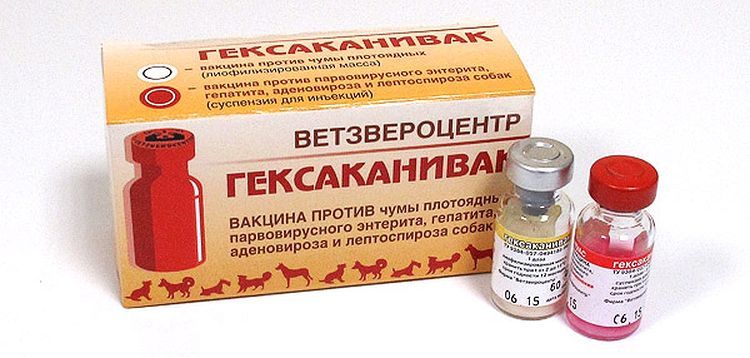 Vacuna Hexacanivac para perros