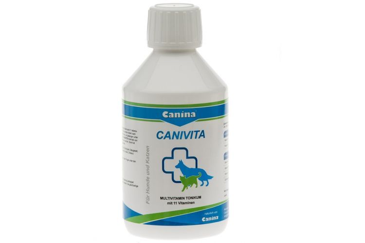 Canivita