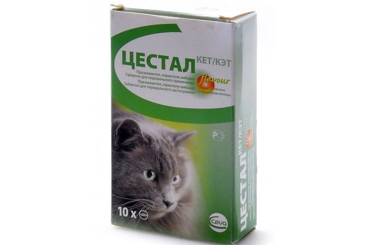 Cestal para gatos