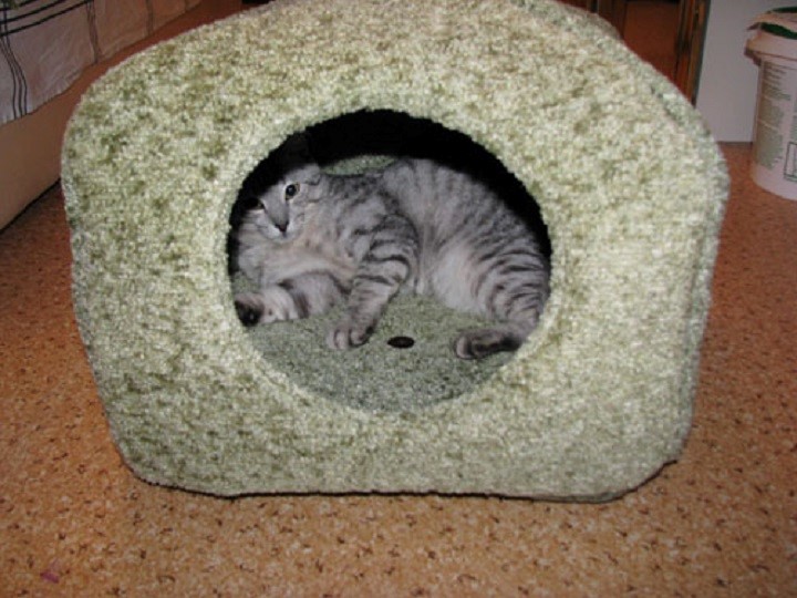 Casa para gatos hecha por uno mismo