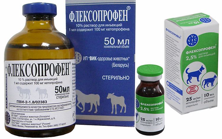 Flexoprofén para gatos