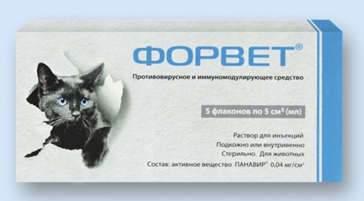 Forvet para gatos