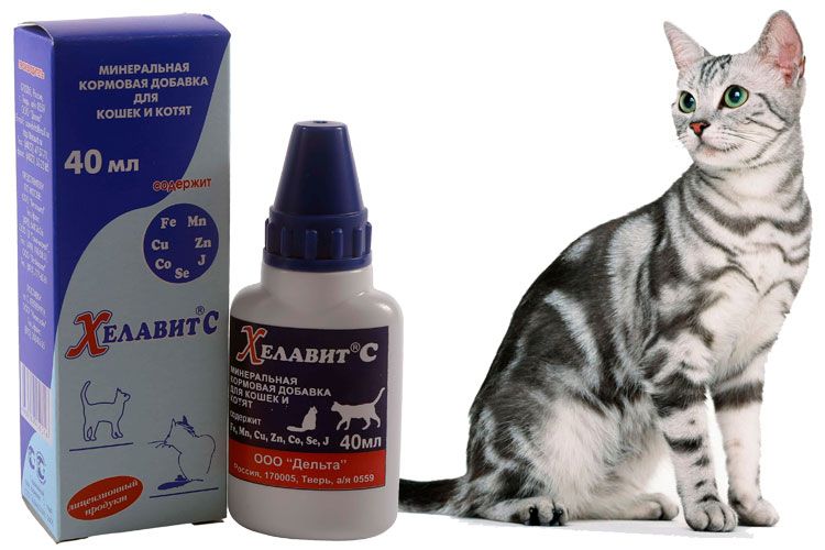 Helavit para gatos