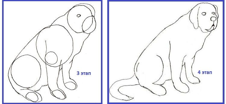 Dibujo del contorno del perro