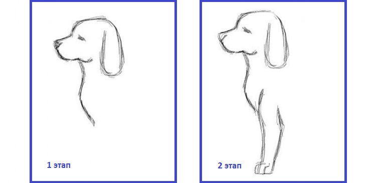 Dibujo del contorno del perro