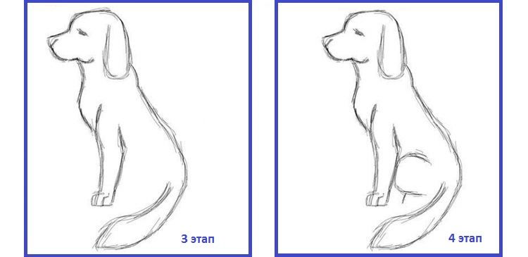 Dibujo del contorno del perro