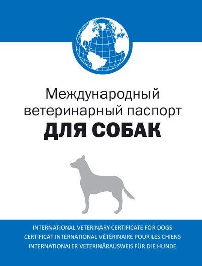 Pasaporte veterinario internacional para perro