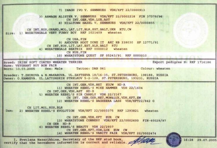 RKF Registration Certificate