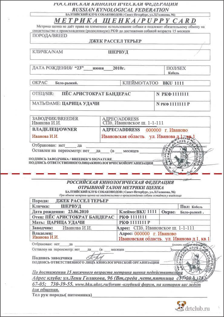 Pasaporte del cachorro o cartilla
