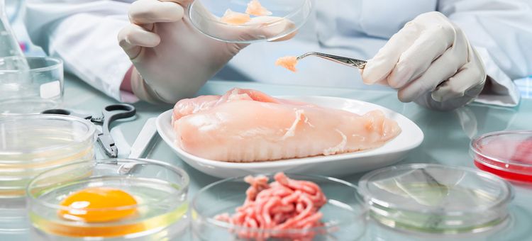 Ingredientes para piensos
