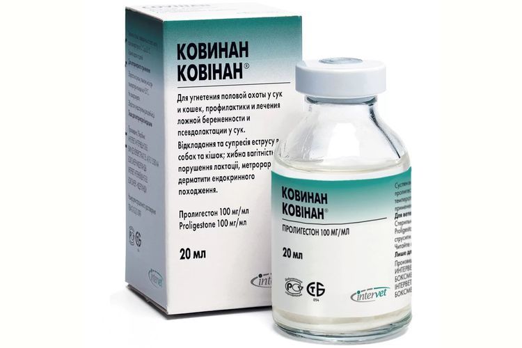 Kovinan para gatos