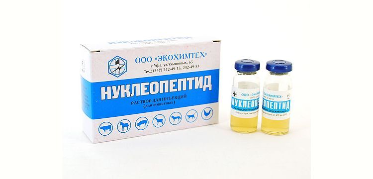 Nucleopéptido para perros
