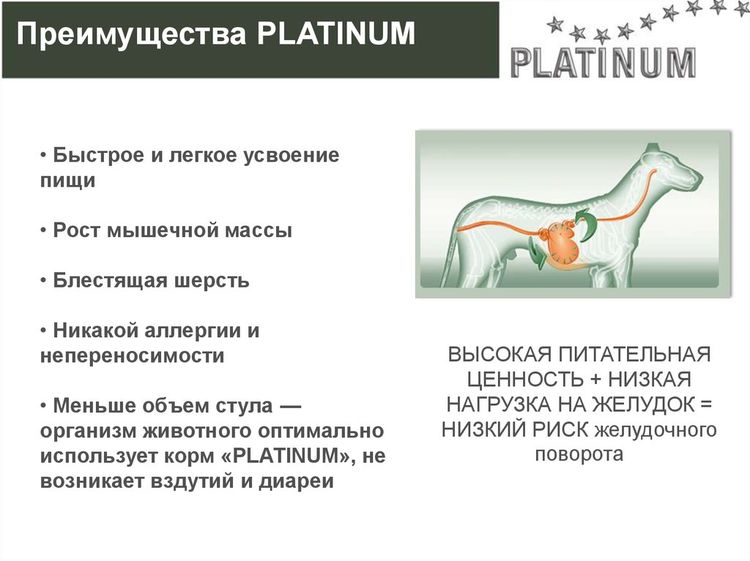 Digestibilidad del alimento Platinum