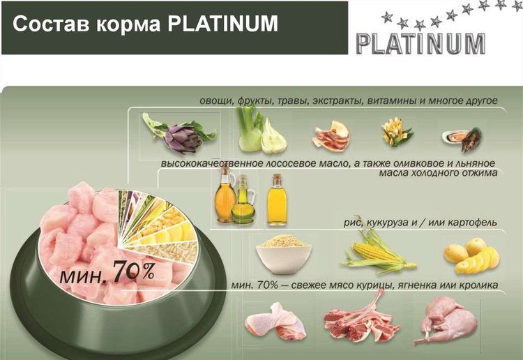 Composición del alimento Platinum