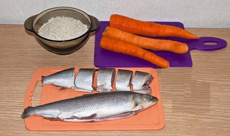 Preparación del plato de pescado para gato