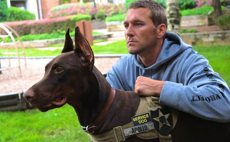 Doberman guía