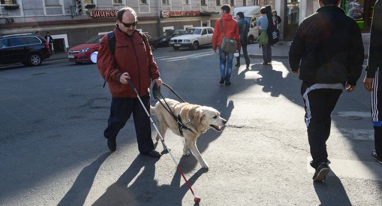 Perro guía con su dueño