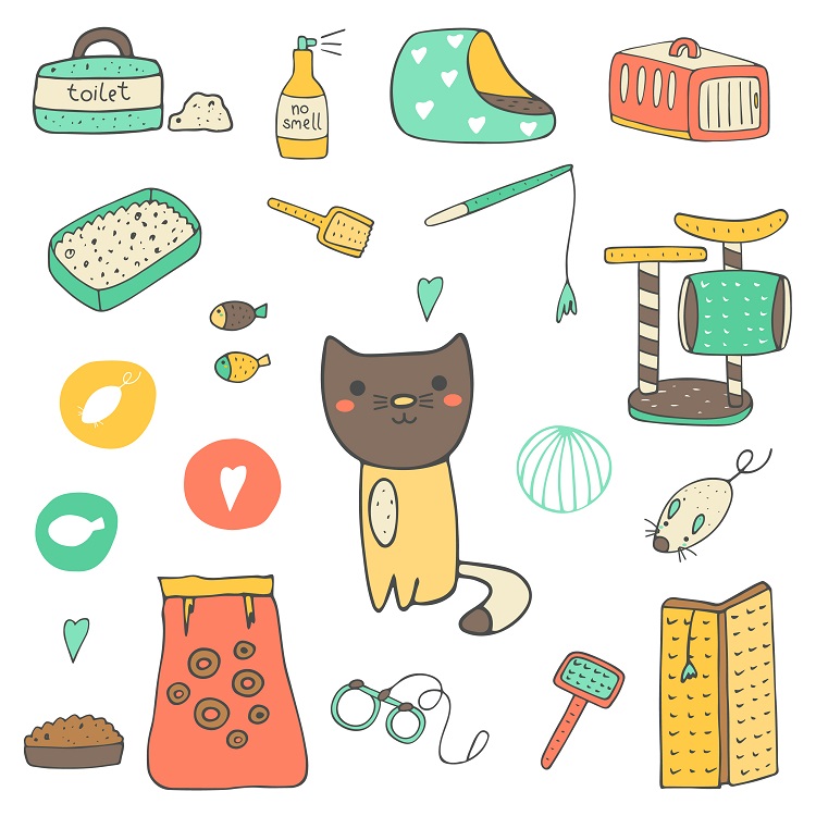 qué se necesita para un gatito recién nacido