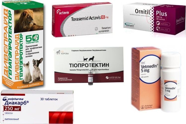 Medicamentos para el tratamiento de la hidropesía (ascitis) en perros