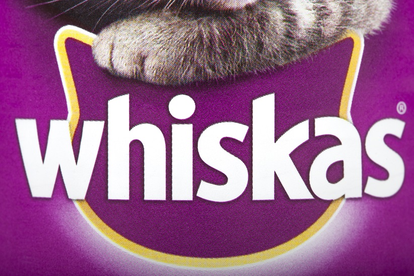Comida para gatos Whiskas