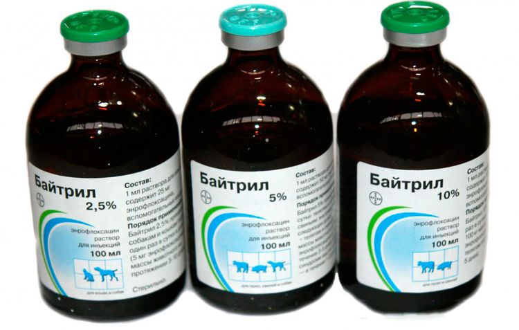 Baitril para gatos