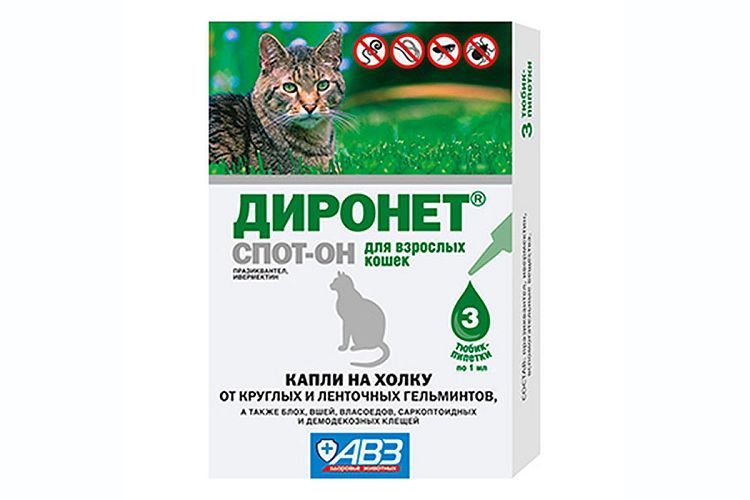 Dironet Tropfen für Katzen und Kater