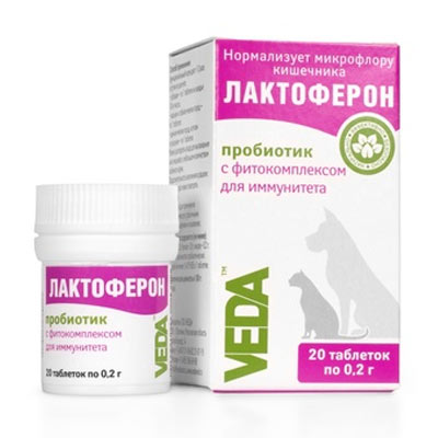Laktoferon – Probiotikum für Katzen