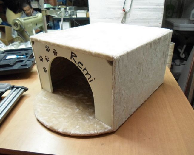 Taller paso a paso del complejo de juego para gatos