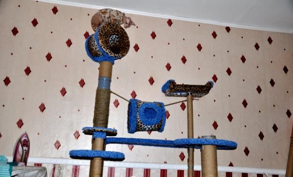 Taller paso a paso del complejo de juego para gatos