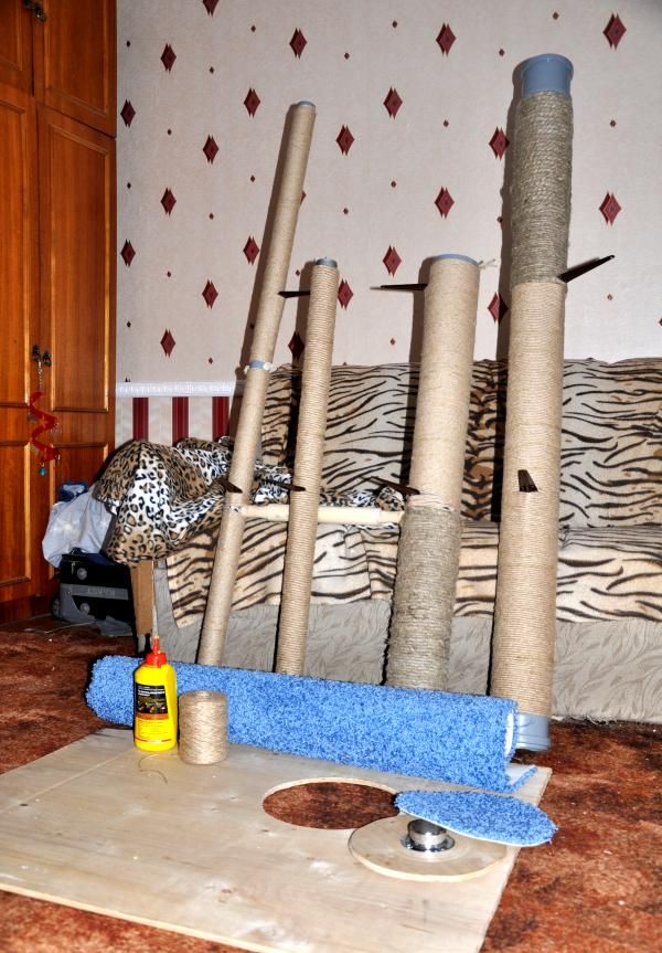 Taller paso a paso del complejo de juego para gatos