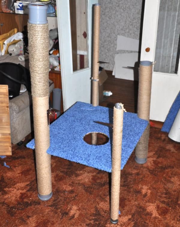 Taller paso a paso del complejo de juego para gatos