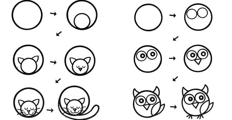 Dibujamos animales paso a paso