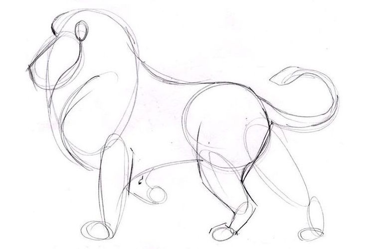 Cómo dibujar un león