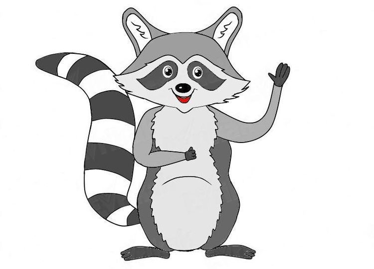 Cómo dibujar un mapache
