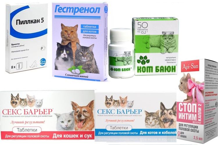 Tranquilizantes para gato