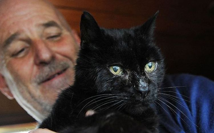 El gato Mac del Reino Unido