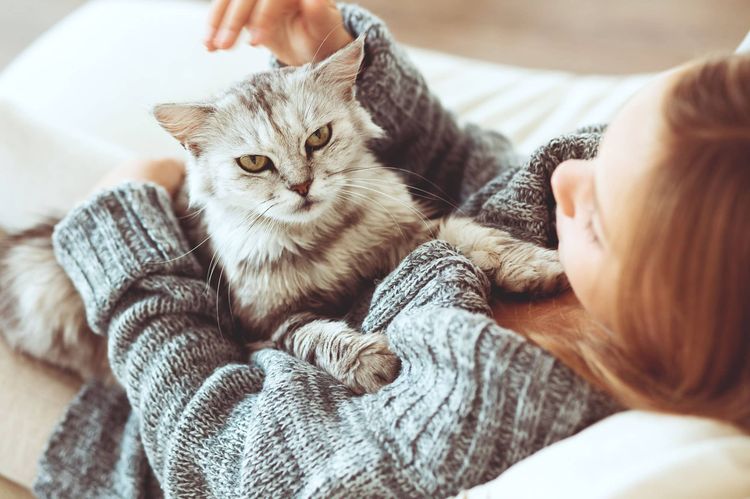 La dueña acaricia al gato