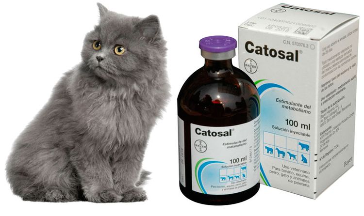 Catosal para gatos