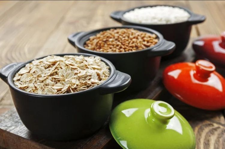 Gachas y cereales para perros